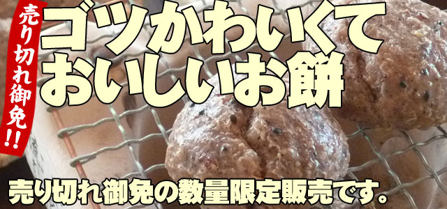 玄米入り十穀もち 期間限定販売 数に限りがございます