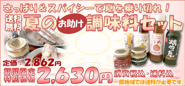 サッパリとスパイシーで夏を乗り切ろう! 夏におススメ「夏の調味料セット」